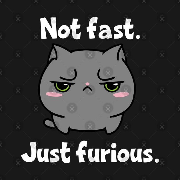 Not Fast Just Furious Cat by KayBee Gift Shop