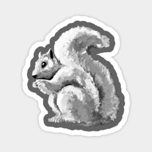 Black and White Squirrel Magnet