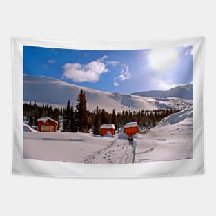 Canadian Rocky Mountains Icefields Parkway Canada Tapestry