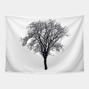 Lone Tree Dark Tapestry