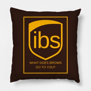 IBS Pillow