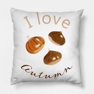 I love Autumn Pillow