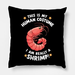 This is my Human Costume Funny Halloween Shrimp Pillow