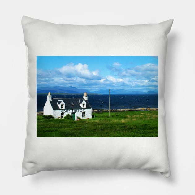Exhibition Pillow by tomg