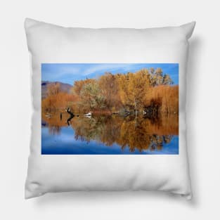 Reflective Moments Pillow