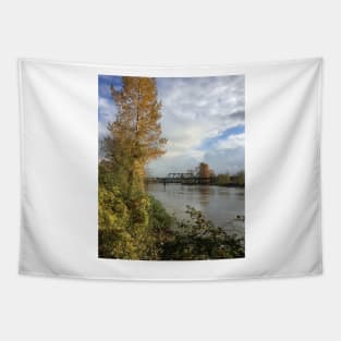 Snohomish River In Washington Tapestry