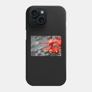 Orange Lily Flower Blossom, black and white photography Phone Case