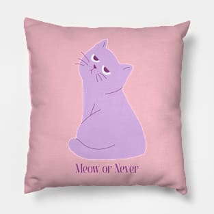 Meow or Never: Cat Lover Pillow