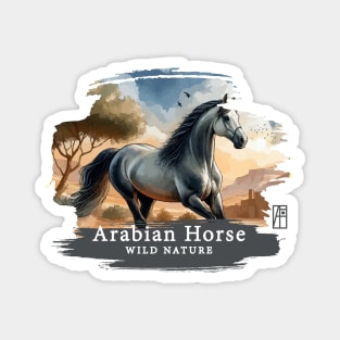 Arabian Horse - WILD NATURE - HORSE -14 Magnet