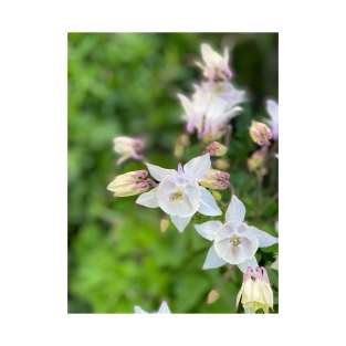 White Spring Flowers T-Shirt