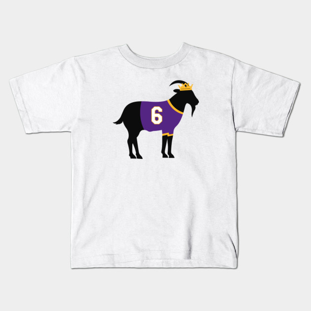 lebron james kids t shirt