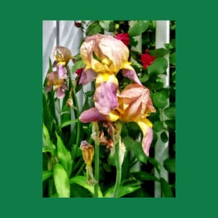 Irises By Picket Fence T-Shirt