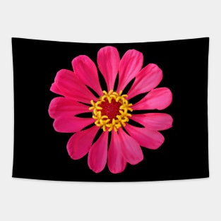 colorful pink zinnia, flower, blooms, flowers Tapestry