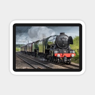 Flying Scotsman Magnet