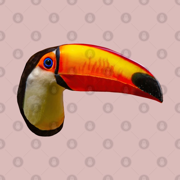 Toco Toucan by dalyndigaital2@gmail.com