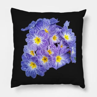 African Daisy Pillow