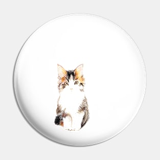 Kitten Pin