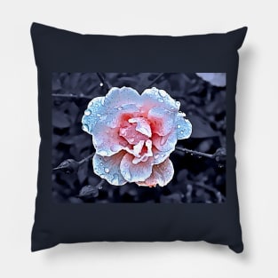 Raindrops on the Rose Pillow