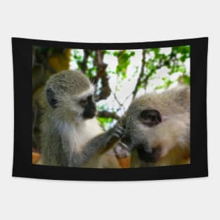 Vervet Monkeys, Kruger National Park, South Africa Tapestry