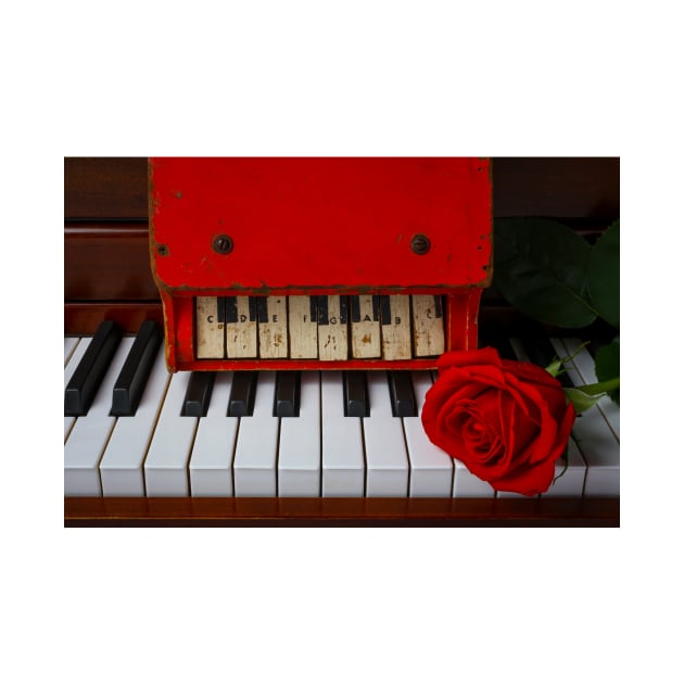 Toy Red piano And Red Rose by photogarry