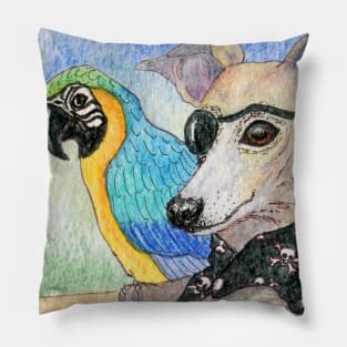 She was ready for Talk Like a Pirate Day - whippet dog and her parrot Pillow