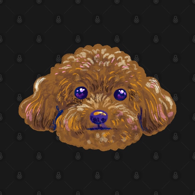 Cute poodle by Iniistudio