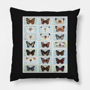 BUTTERFLY COLLECTION MATCHBOX SERIES BUTTERFLIES BOTANICAL GARDEN Pillow