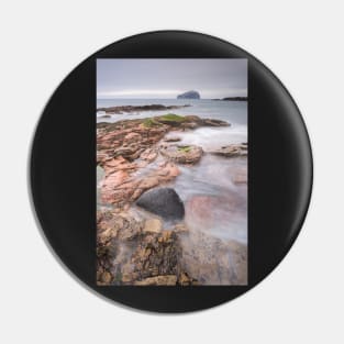 Seacliff Intertidal Rocks Pin