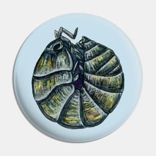 Armadillidium vulgare Isopod Pin