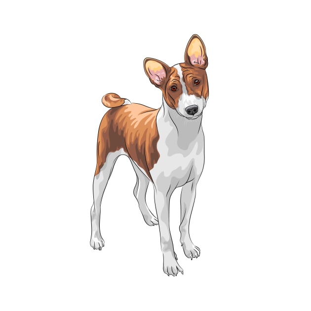 Hunting dog Basenji breed by kavalenkava