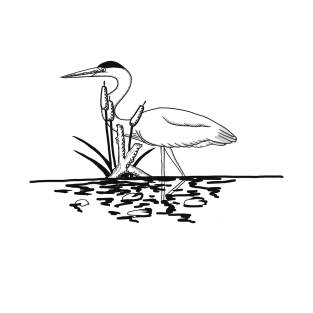 Heron in the reeds T-Shirt