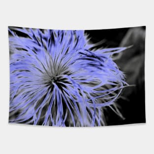 Fluffy Allium Blue Tapestry