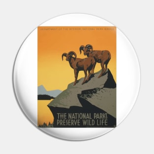 National Park Pin