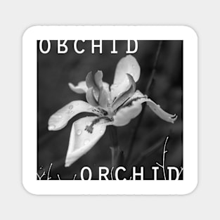 Orchid In Drops Magnet