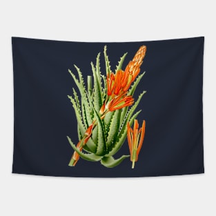 Aloe Vera vintage illustration Tapestry