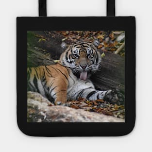 Sumatran Tiger Tote