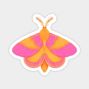 Cute Rosie Moth Painting Magnet