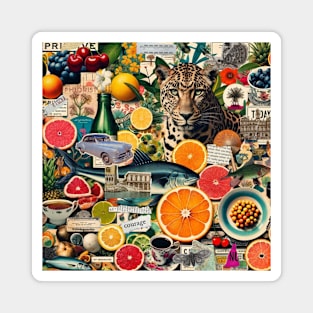 Eclectic Summer Fruit Leopard Vintage Travel Collage Scrapbook Magnet