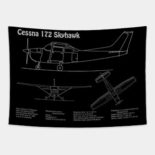 Cessna 172 Skyhawk - PDpng Tapestry