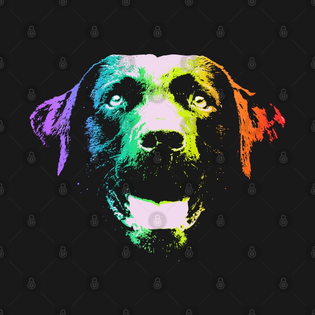 Rainbow Labrador Retriever by childofthecorn