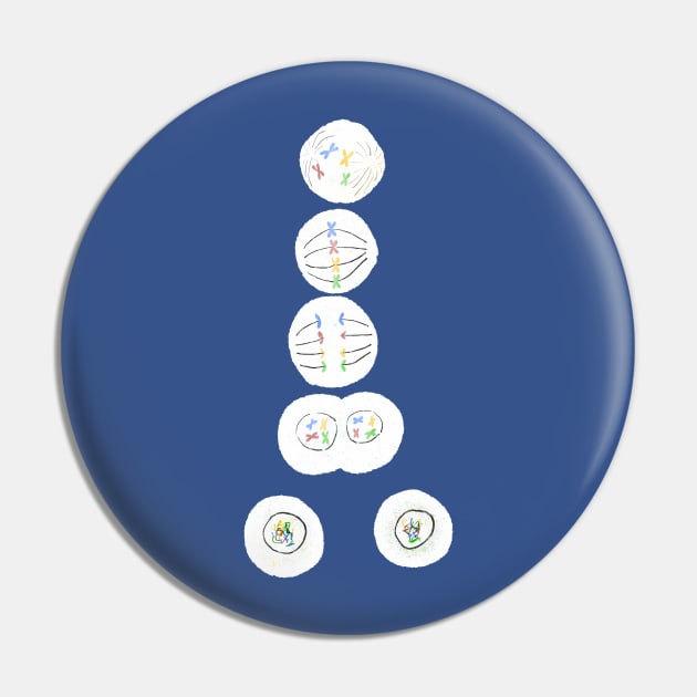 Mitosis Cell Division Biology Science Blue Pin by labstud