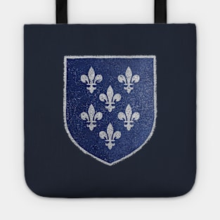 Coat of arms of Temeria | Medieval manuscript heraldry fan art inspired by The Wicher Tote