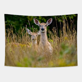 White-tailed Deer Tapestry