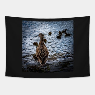 Mallard And Ducklings Tapestry