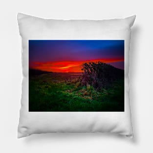 English Dawn Pillow