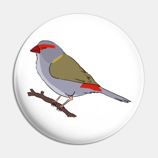 Red-Browed Finch Pin