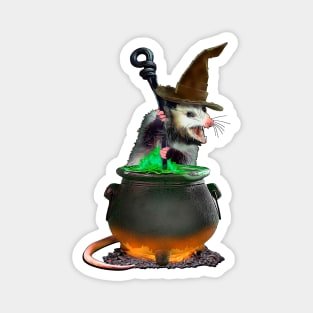 Halloween Possum Magnet