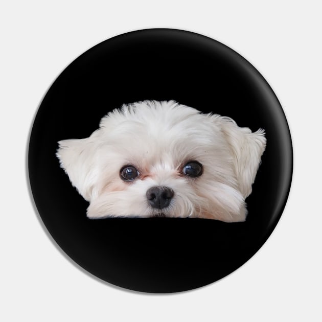 Adorable Maltese T-Shirt Pin by jachu23_pl