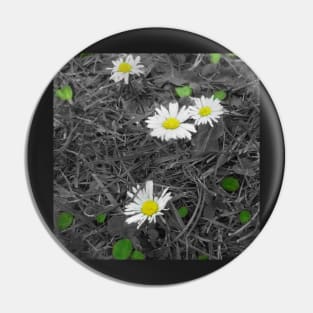 Daisies Pin