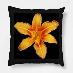 Orange Lily Pillow